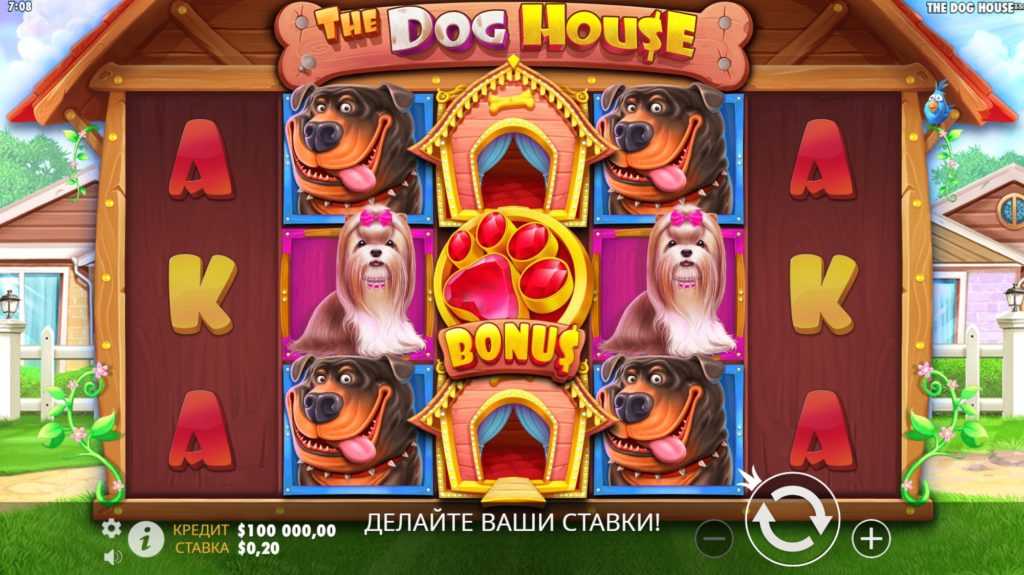 Dog House: какие существуют разновидности слота? ТОП-6 слотов на тему собак