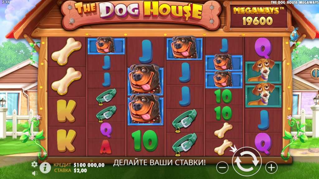 Dog House: какие существуют разновидности слота? ТОП-6 слотов на тему собак