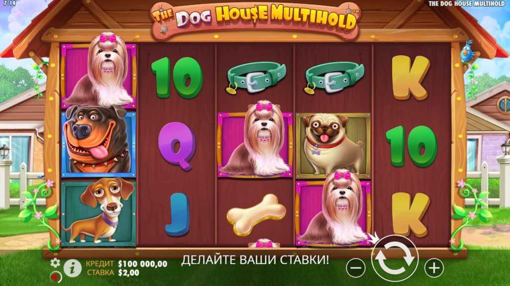 Dog House: какие существуют разновидности слота? ТОП-6 слотов на тему собак